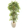 Homplanti 63" Elegant Ficus Artificial Tree In Sandstone Planter