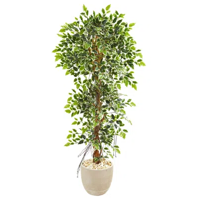 Homplanti 63" Elegant Ficus Artificial Tree In Sandstone Planter
