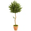 Homplanti 63" Olive Artificial Tree In Planter Uv (indoor/outdoor)