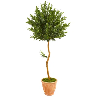 Homplanti 63" Olive Artificial Tree In Planter Uv (indoor/outdoor)