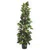 Homplanti 63" Pothos Climbing Silk Plant
