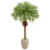 Homplanti 63" Robellini Palm Artificial Tree In Sandstone Planter