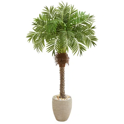 Homplanti 63" Robellini Palm Artificial Tree In Sandstone Planter