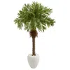 Homplanti 63" Robellini Palm Artificial Tree In White Planter