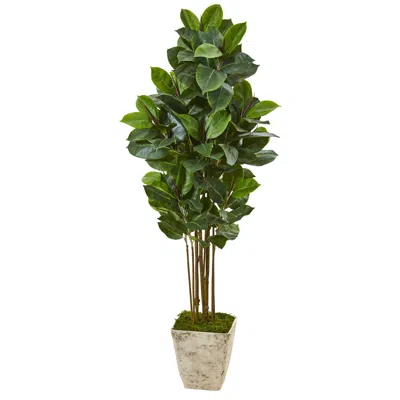 Homplanti 63" Rubber Leaf Artificial Tree In Country White Planter