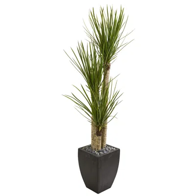 Homplanti 63" Yucca Artificial Tree In Black Planter