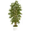 Homplanti 64" Bamboo Artificial Tree In White Tin Planter