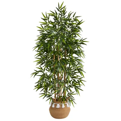 Homplanti 64" Bamboo Tree In Natural Cotton Woven Planter W/tassels