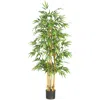 Homplanti 64" Bamboo Tree X 7 W/1040 Lvs