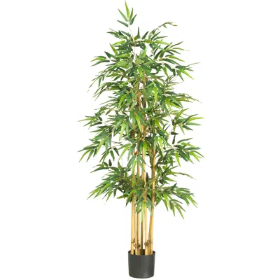 Homplanti 64" Bamboo Tree X 7 W/1040 Lvs