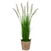 Homplanti 64" Wheat Grass Artificial Plant In Farmhouse Planter