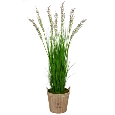 Homplanti 64" Wheat Grass Artificial Plant In Farmhouse Planter
