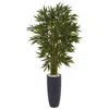 Homplanti 6.5' Bamboo Tree In Gray Cylinder Planter