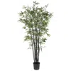 Homplanti 6.5' Black Bamboo Tree W/1752 Lvs