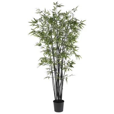 Homplanti 6.5' Black Bamboo Tree W/1752 Lvs