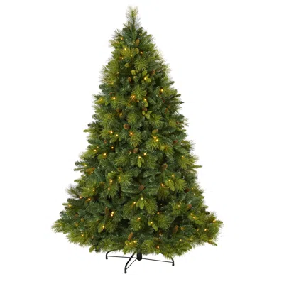 Homplanti 6.5' Carolina Pine Xmas Tree W/350 Leds, 1367 Tips & Cones