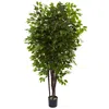 Homplanti 6.5' Deluxe Ficus Tree W/2520 Lvs
