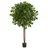 Homplanti 6.5' Ficus Artificial Tree