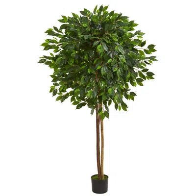 Homplanti 6.5' Ficus Artificial Tree