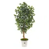Homplanti 65" Ficus Artificial Tree In Decorative Planter