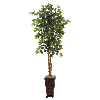 Homplanti 6.5' Ficus W/decorative Planter