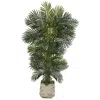 Homplanti 6.5' Golden Cane Artificial Palm Tree In White Planter