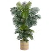 Homplanti 6.5' Golden Cane Palm Tree In Cotton Multicolored Planter