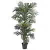 Homplanti 6.5' Golden Cane Palm Tree W/333 Lvs