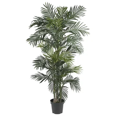 Homplanti 6.5' Golden Cane Palm Tree W/333 Lvs
