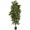 Homplanti 6.5' Mango Artificial Tree