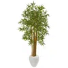 Homplanti 65" Multi Bambusa Bamboo Artificial Tree In White Planter