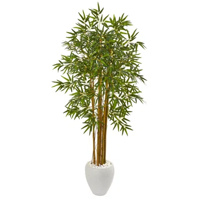 Homplanti 65" Multi Bambusa Bamboo Artificial Tree In White Planter