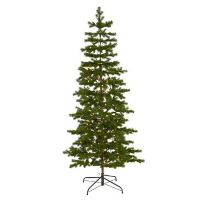 Homplanti 6.5' Xmas Tree W/200 Clear (mf) Leds And 265 Tips