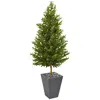Homplanti 67" Olive Cone Topairy Tree In Planter Uv (indoor/outdoor)