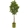 Homplanti 69" Beech Leaf Artificial Tree In Metal Planter