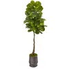 Homplanti 69" Fiddle Leaf Tree In Ribbed Metal Planter (real Touch)
