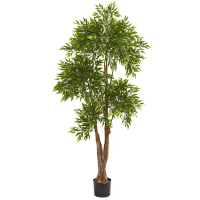 Homplanti 69" Ruscus Artificial Tree Uv Resistant (indoor/outdoor)