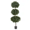 Homplanti 69" Sweet Bay Triple Ball Tree W/2664 Lvs