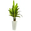 Homplanti 69" Travelers Palm Artificial Tree In White Tower Planter
