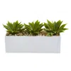 Homplanti 7" Agave Succulent In Rectangular Planter