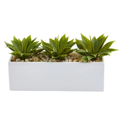 Homplanti 7" Agave Succulent In Rectangular Planter In White