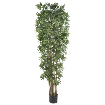 Homplanti 7' Bamboo Japanica Tree X 12 W/4100 Lvs Natural