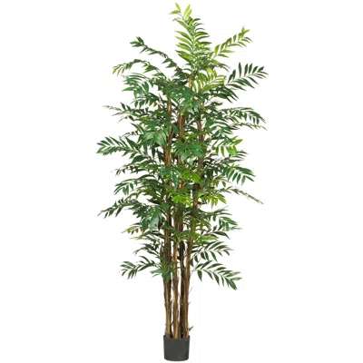 Homplanti 7' Bamboo Palm Tree W/1542 Lvs