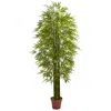 Homplanti 7' Bamboo Tree W/2400 Lvs Uv Resistant (indoor/outdoor)