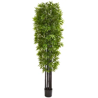 Homplanti 7' Bamboo Tree With Black Trunks Uv Resist (indoor/outdoor)