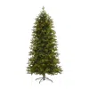 Homplanti 7' Belgium Fir Christmas Tree With 500 Clear Led Lights