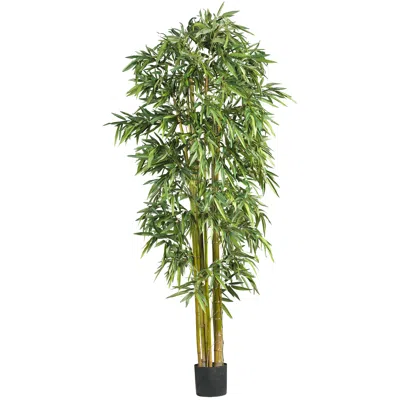 Homplanti 7' Biggy Bamboo W/1536 Lvs