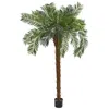 Homplanti 7' Cycas Palm Artificial Tree