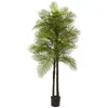 Homplanti 7' Double Robellini Palm Tree Uv Resistant (indoor/outdoor)
