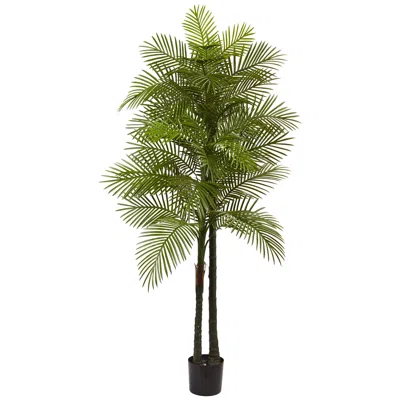 Homplanti 7' Double Robellini Palm Tree Uv Resistant (indoor/outdoor)
